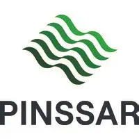 Pinssar